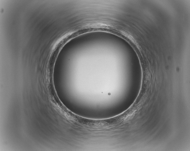 X0000067950979200604171431