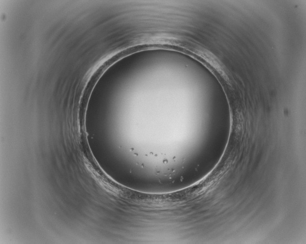 X0000067950980200604171431