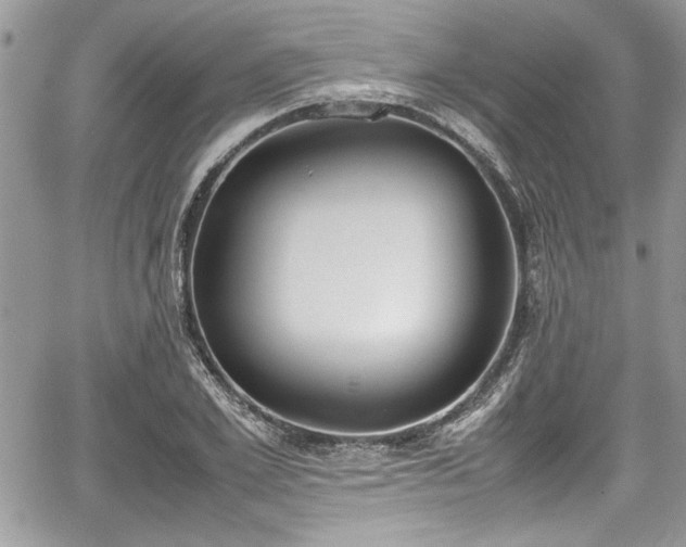 X0000067950981200604171431