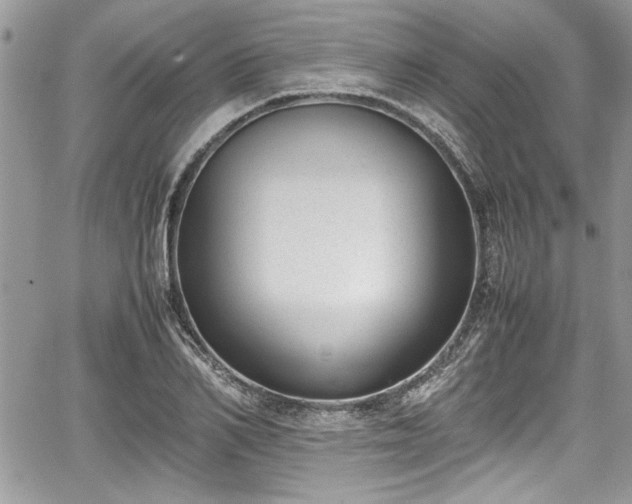 X0000067950982200604171431