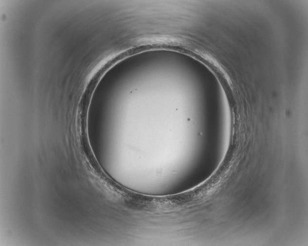 X0000067950983200604171431