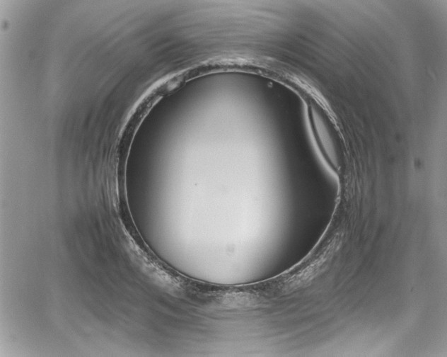 X0000067950984200604171431