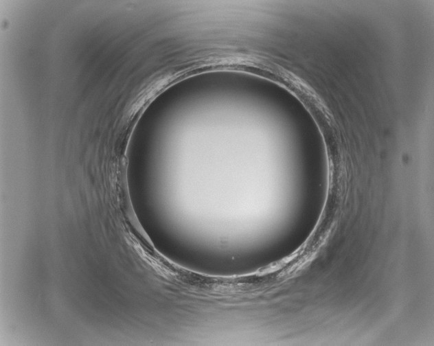 X0000067950985200604171431