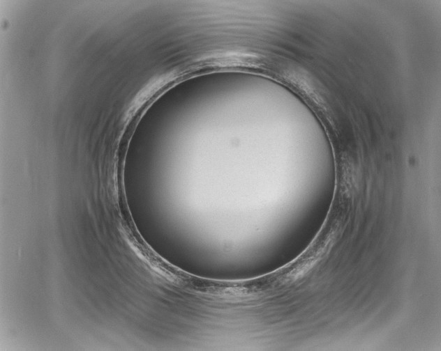 X0000067950986200604171431