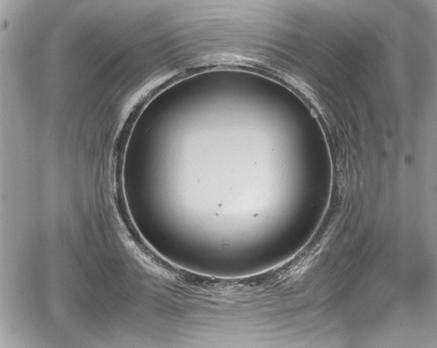 X0000067950987200604171431