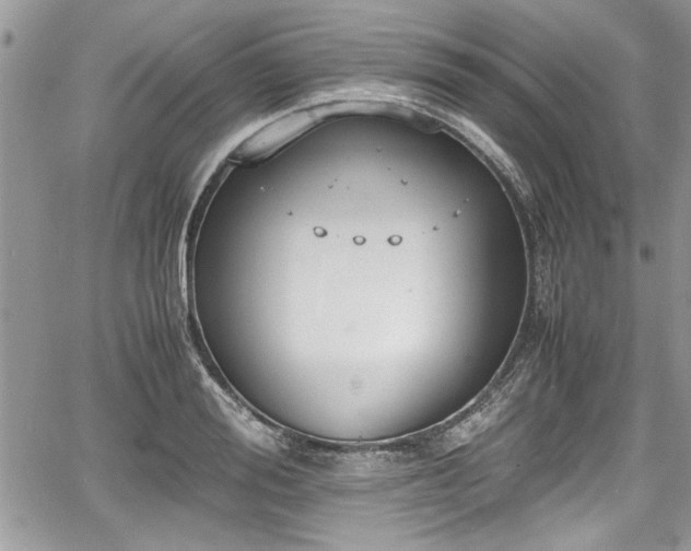 X0000067950988200604171431