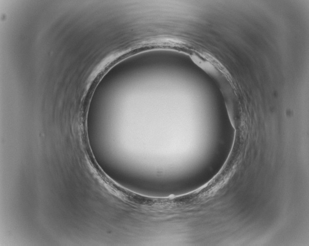 X0000067950989200604171431