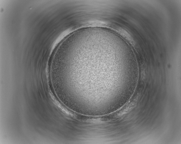 X0000067950990200604171431