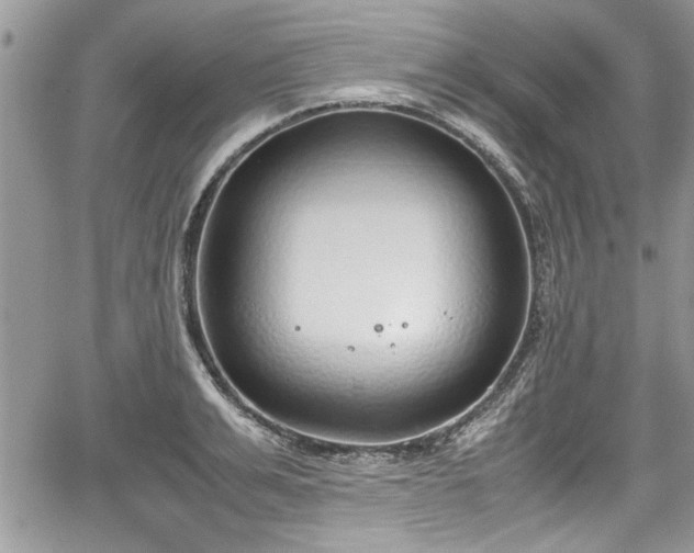 X0000067950991200604171431