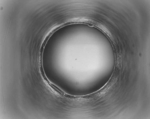 X0000067950992200604171431