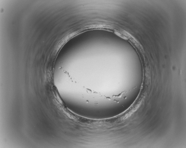 X0000067950993200604171431