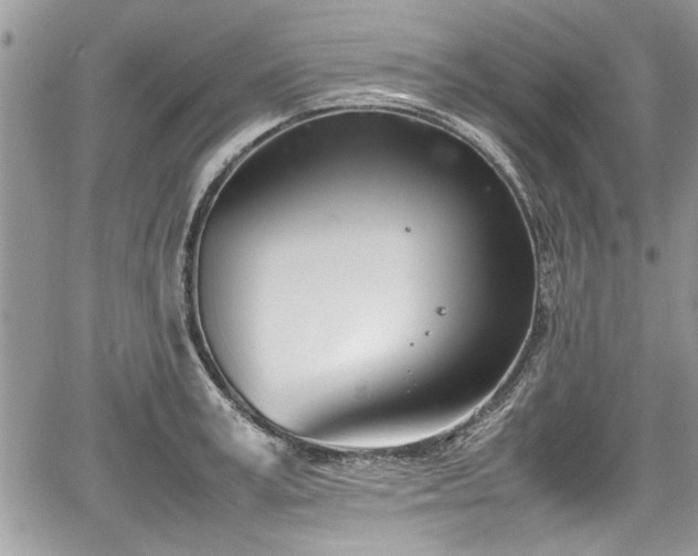 X0000067950995200604171431