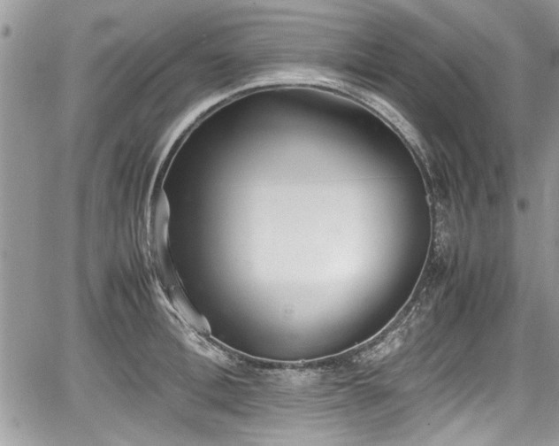 X0000067950996200604171431