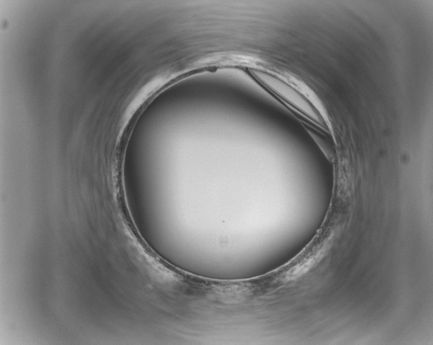 X0000067950997200604171431