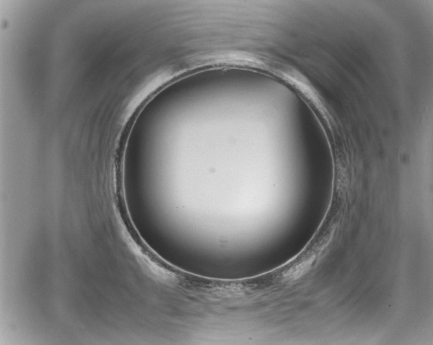 X0000067950999200604171431