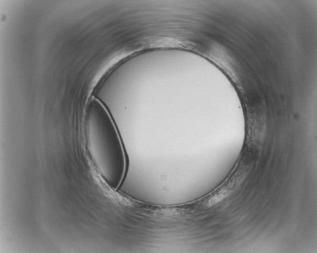 X0000067951000200604171431