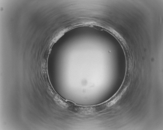 X0000067951001200604171431