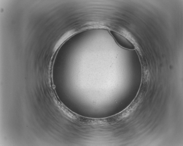 X0000067951002200604171431