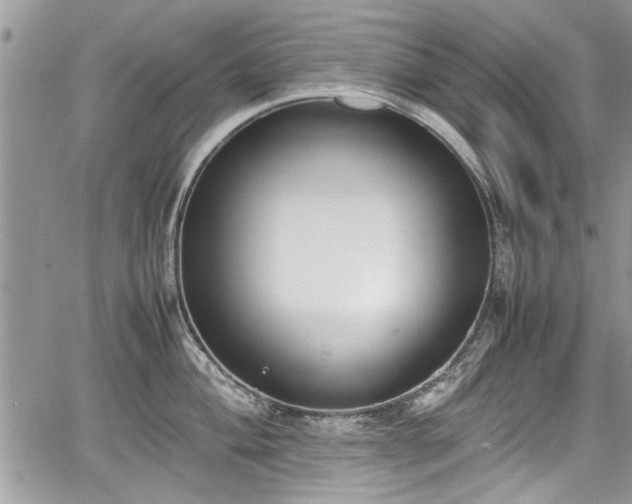 X0000067951004200604171430