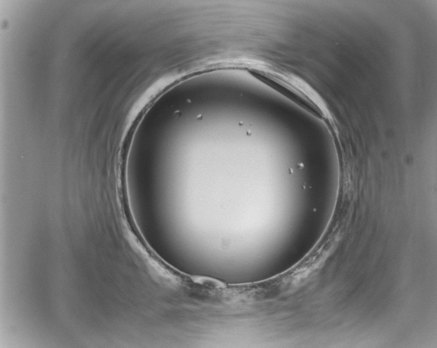 X0000067951005200604171430