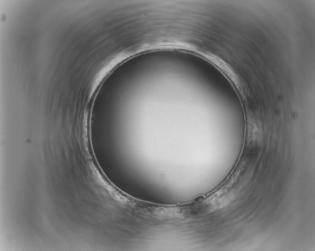 X0000067951006200604171430