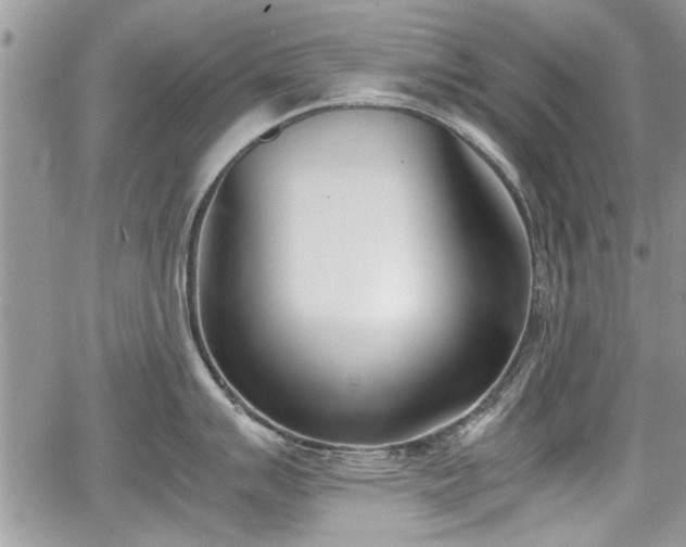 X0000067951007200604171430