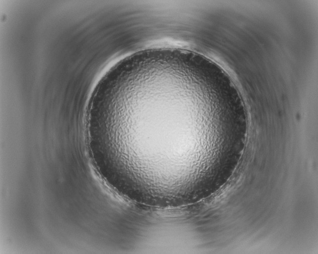 X0000067951008200604171430