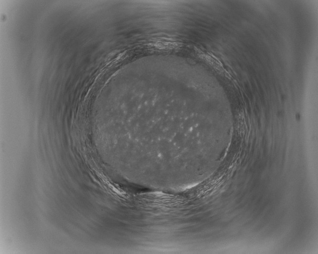 X0000067951009200604171430