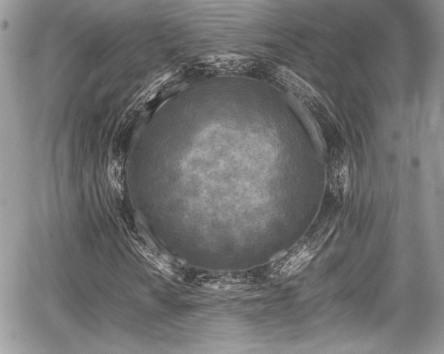 X0000067951010200604171430