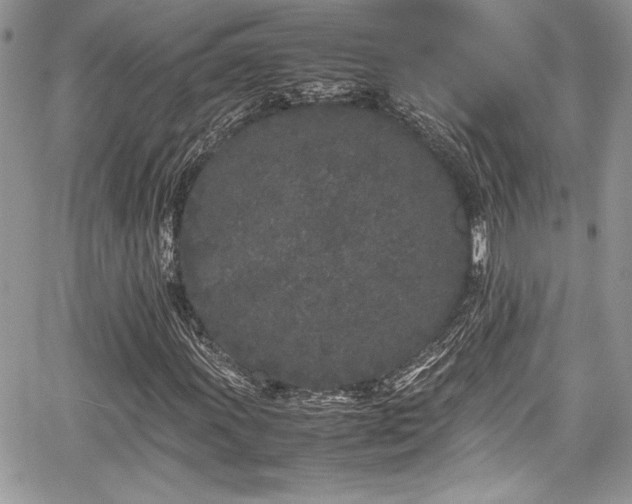 X0000067951011200604171430