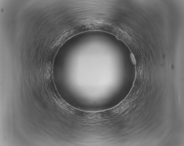 X0000067951012200604171430