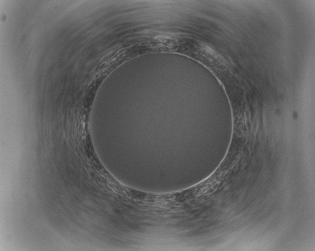 X0000067951013200604171430