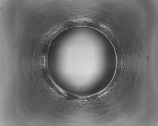 X0000067951014200604171430