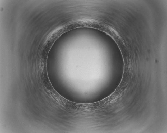 X0000067951016200604171430