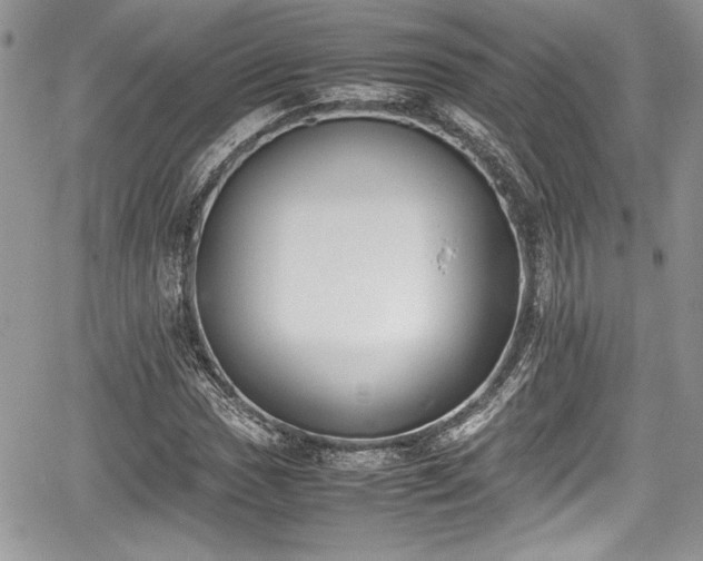 X0000067951017200604171430