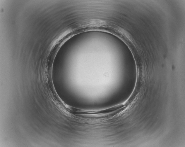 X0000067951018200604171430