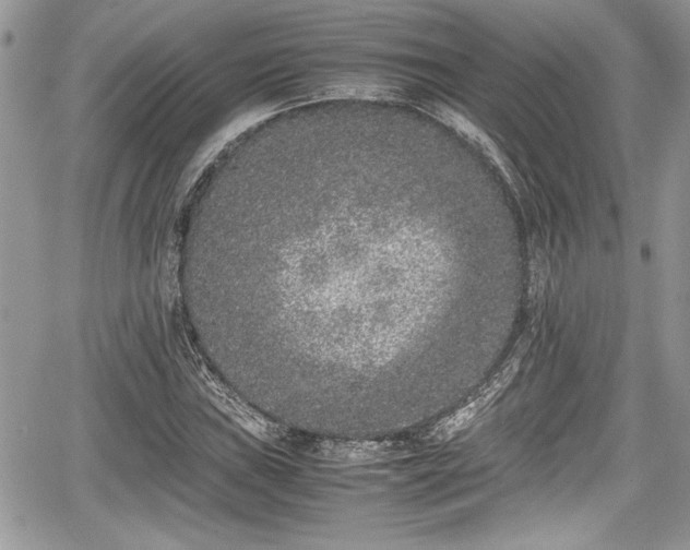 X0000067951019200604171430