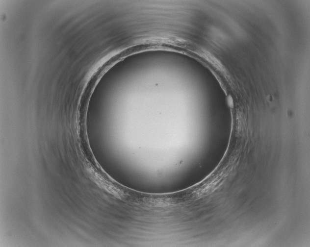 X0000067951020200604171430