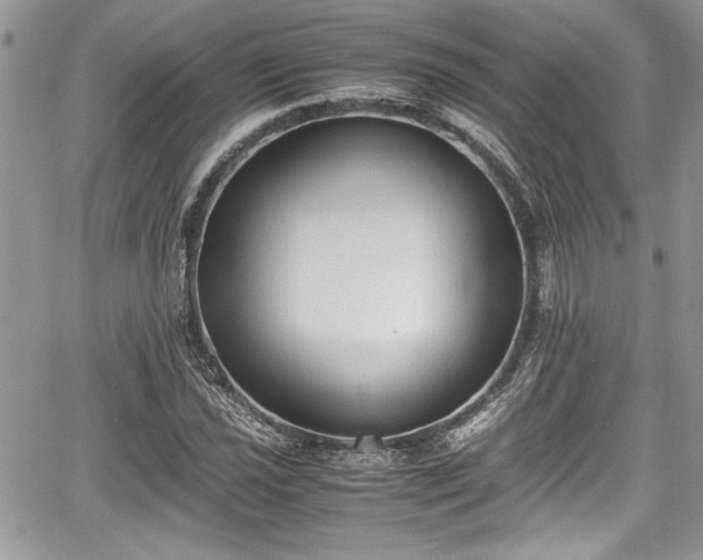 X0000067951021200604171430