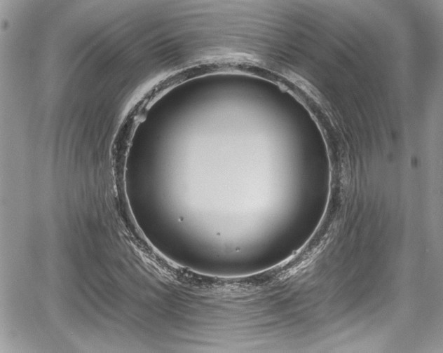 X0000067951022200604171430