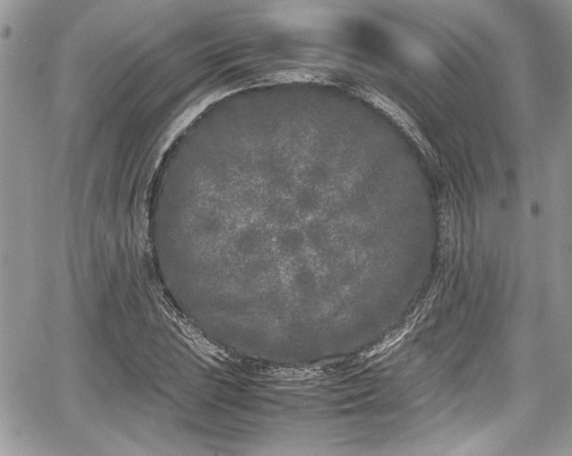 X0000067951023200604171430