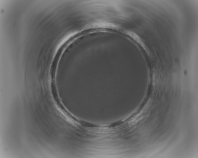 X0000067951024200604171430