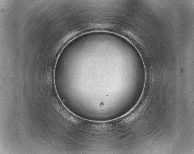 X0000067951025200604171430