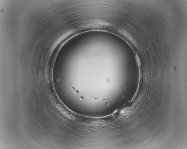 X0000067951026200604171430