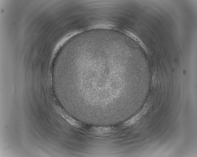 X0000067951027200604171430