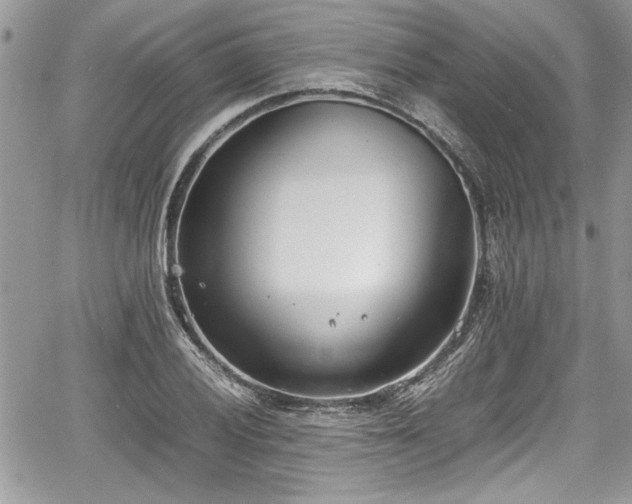 X0000067951028200604171430