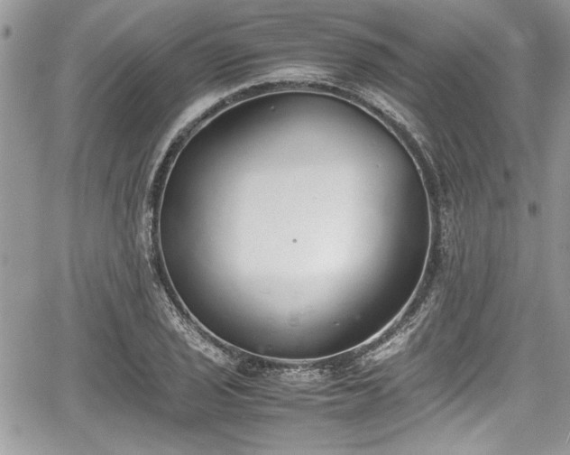 X0000067951029200604171430