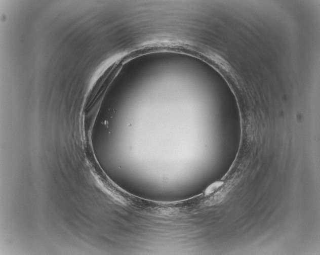 X0000067951030200604171430