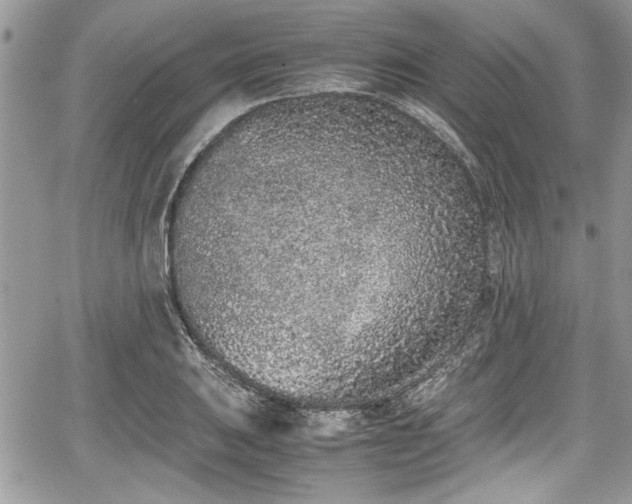 X0000067951031200604171430