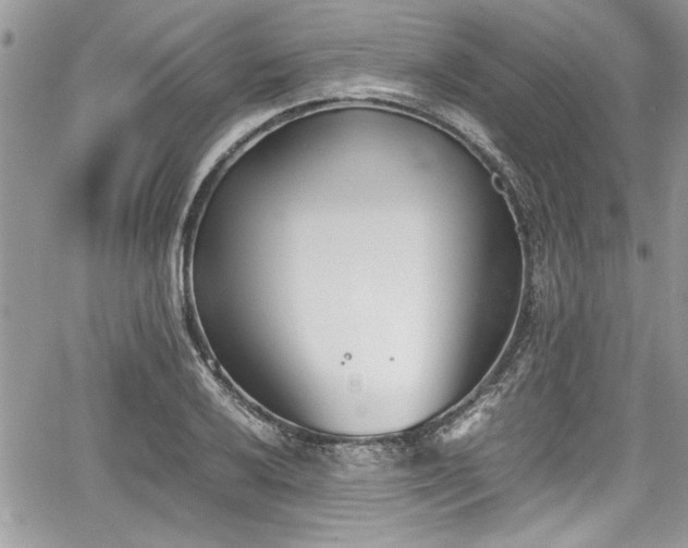 X0000067951032200604171430